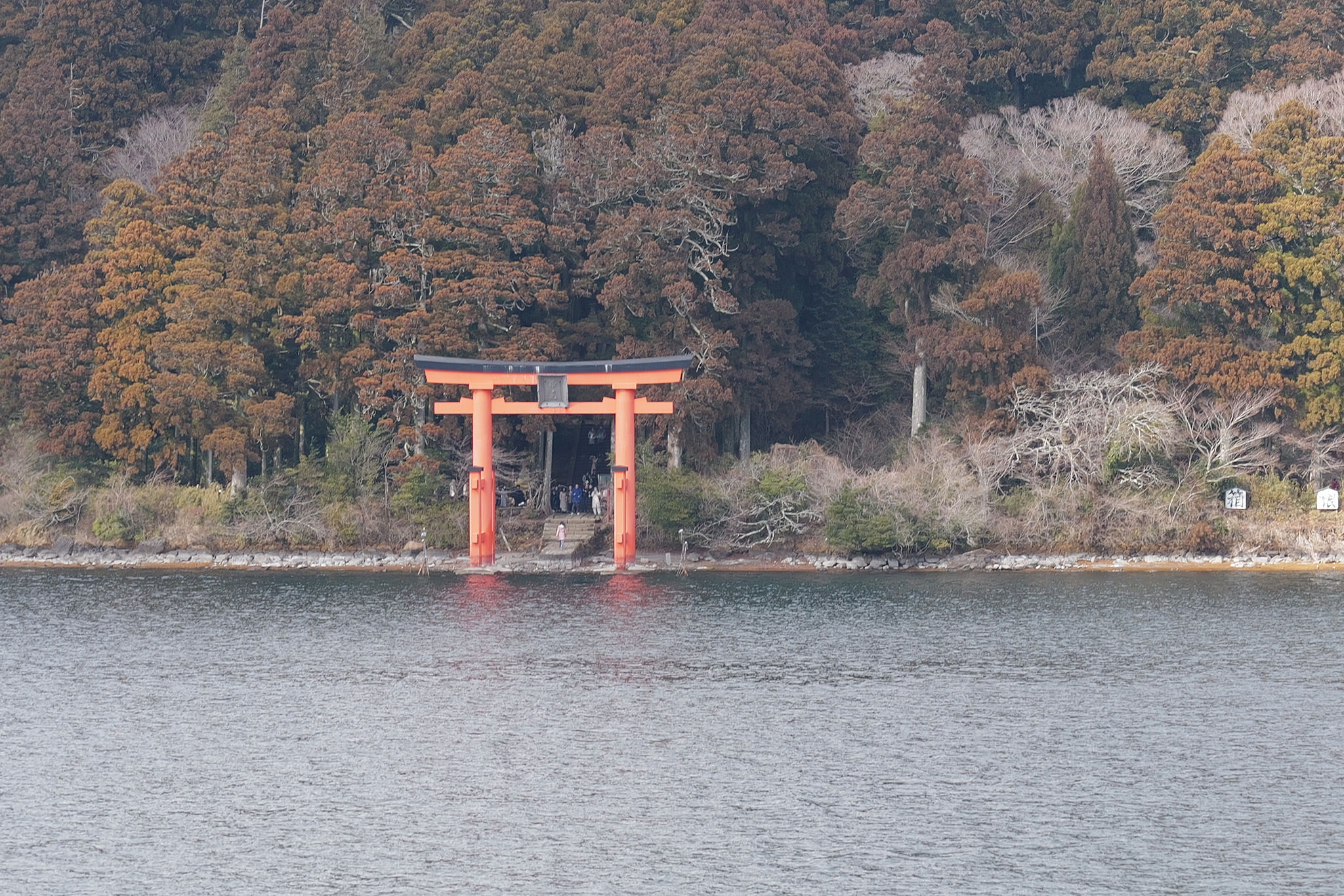 蘆之湖上的鳥居遠景