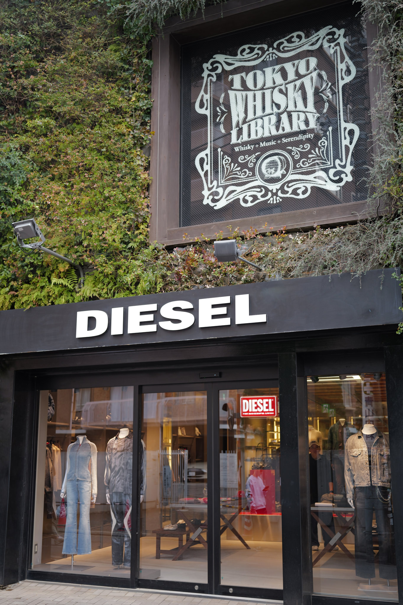 青山 DIESEL 店面