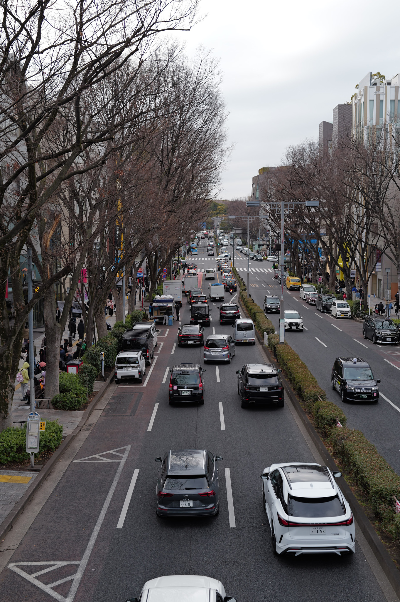 表參道車流與林蔭道